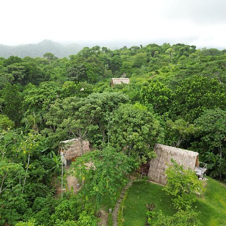 Tiny Houses Unique Tayrona - Dentro Del Parque Tayrona Эль-Саино Экстерьер фото
