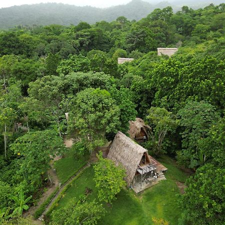 Tiny Houses Unique Tayrona - Dentro Del Parque Tayrona Эль-Саино Экстерьер фото