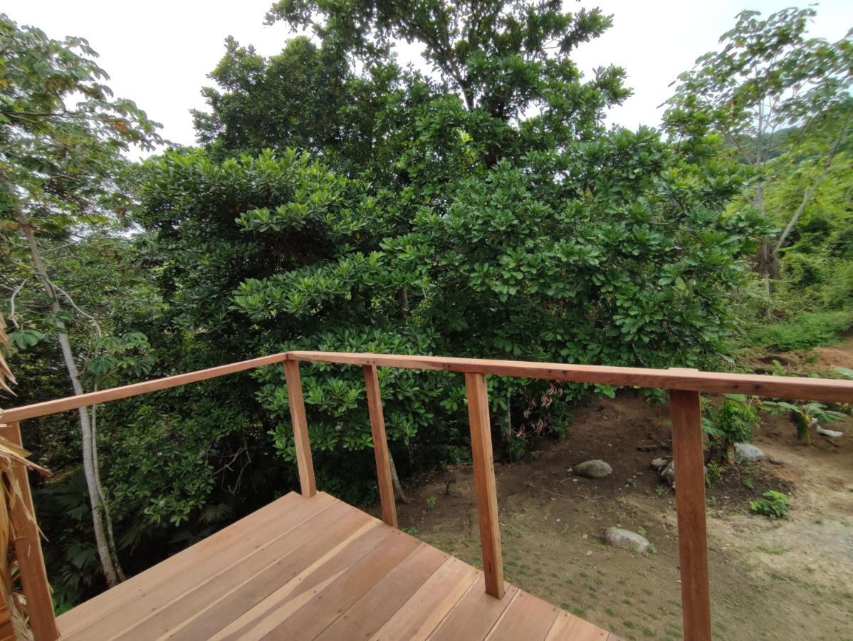 Tiny Houses Unique Tayrona - Dentro Del Parque Tayrona Эль-Саино Экстерьер фото