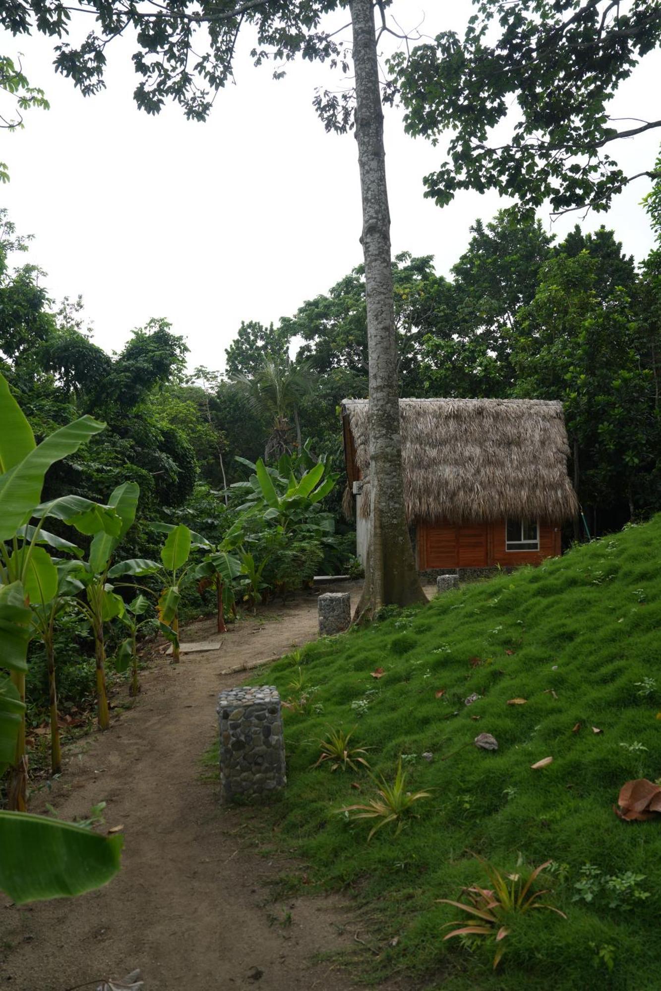 Tiny Houses Unique Tayrona - Dentro Del Parque Tayrona Эль-Саино Экстерьер фото