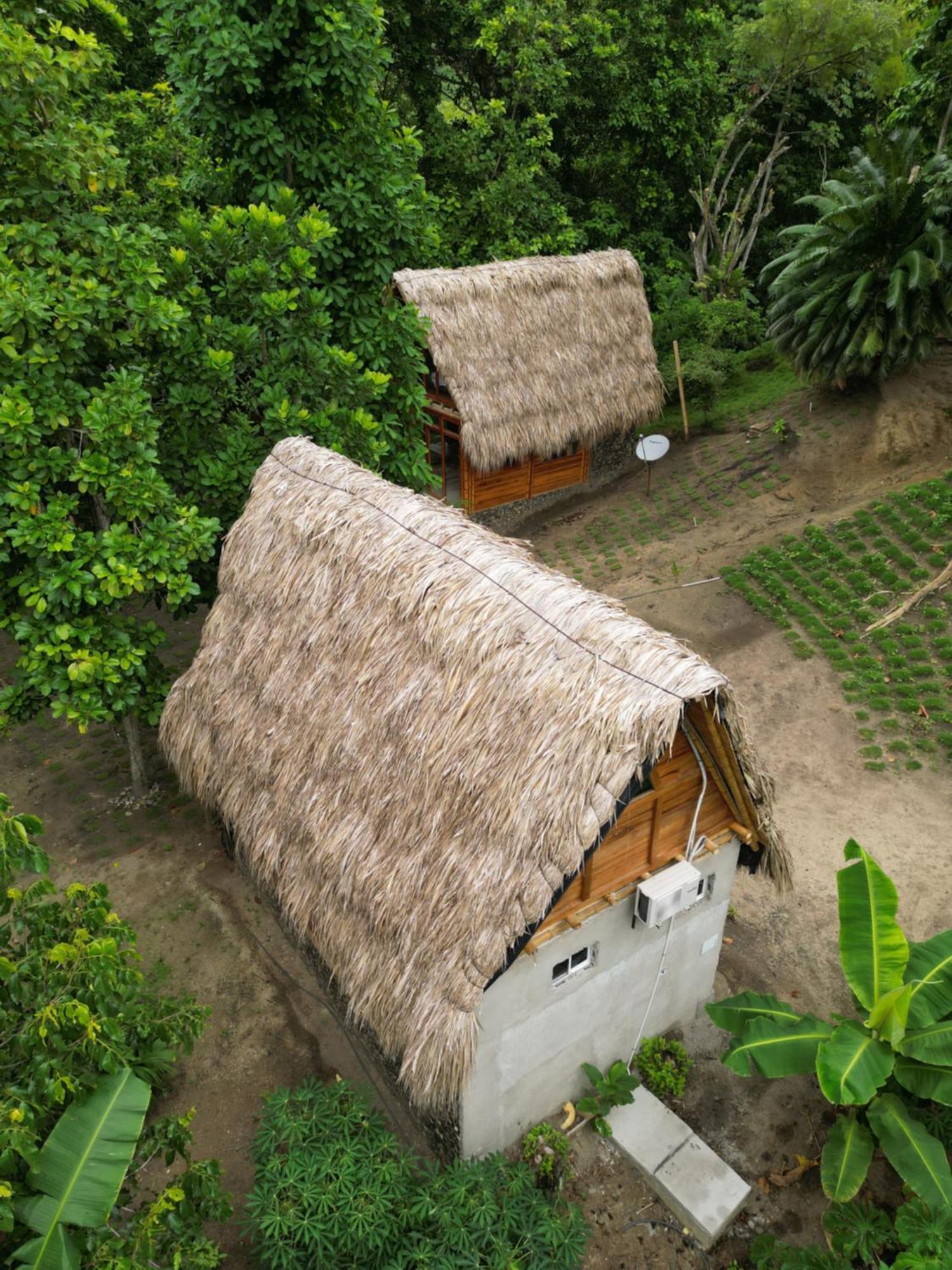 Tiny Houses Unique Tayrona - Dentro Del Parque Tayrona Эль-Саино Экстерьер фото