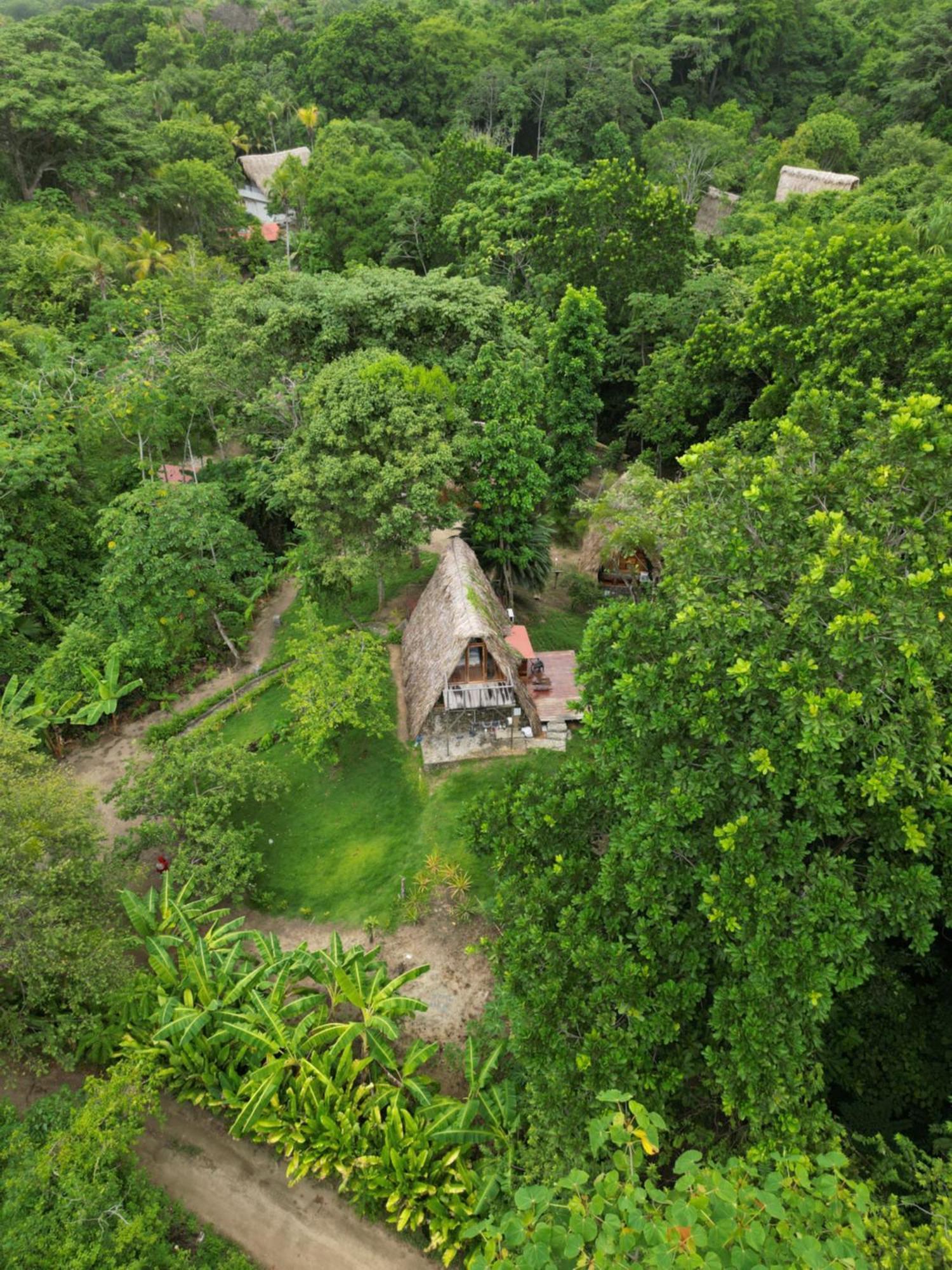 Tiny Houses Unique Tayrona - Dentro Del Parque Tayrona Эль-Саино Экстерьер фото