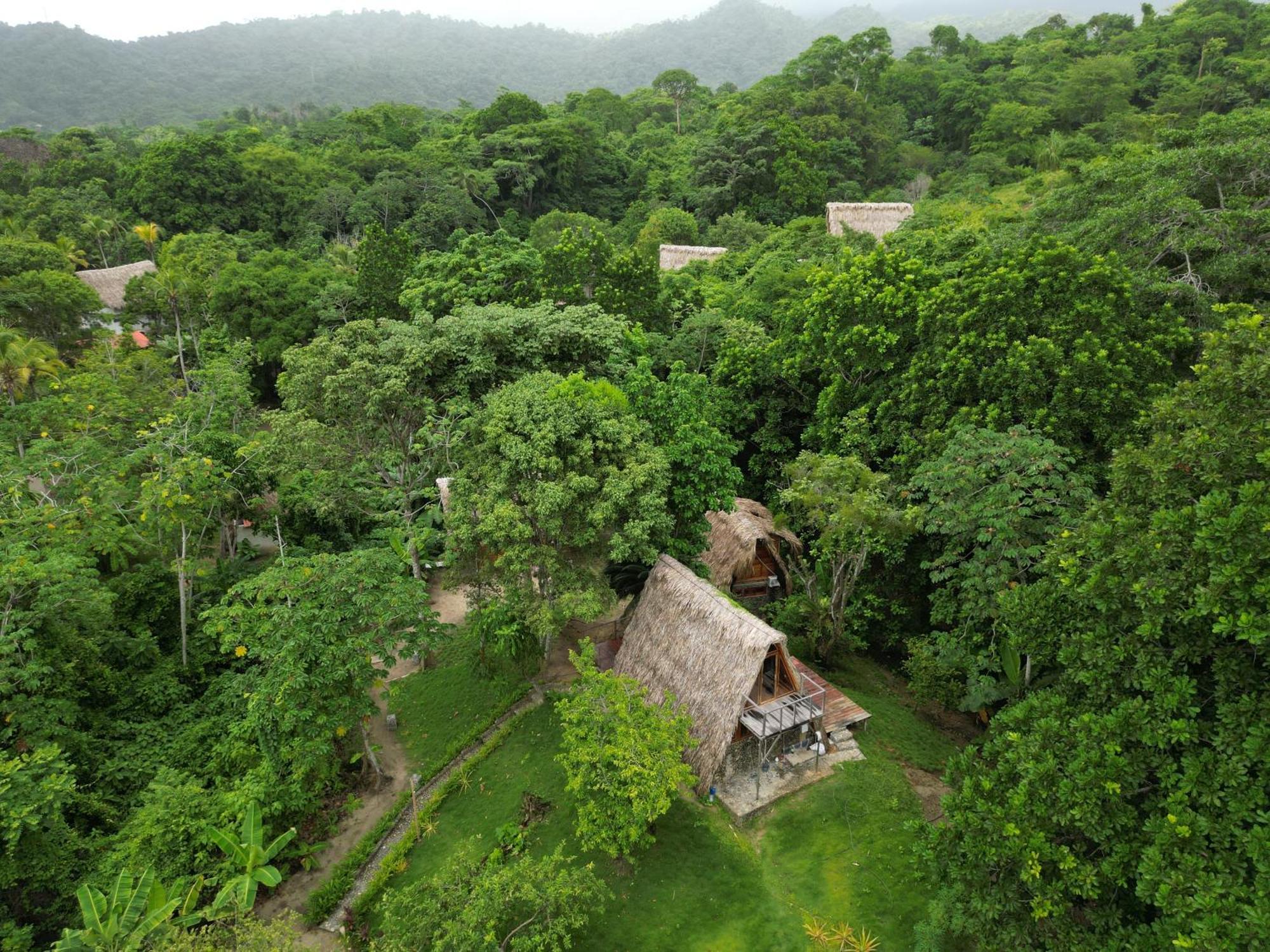 Tiny Houses Unique Tayrona - Dentro Del Parque Tayrona Эль-Саино Экстерьер фото