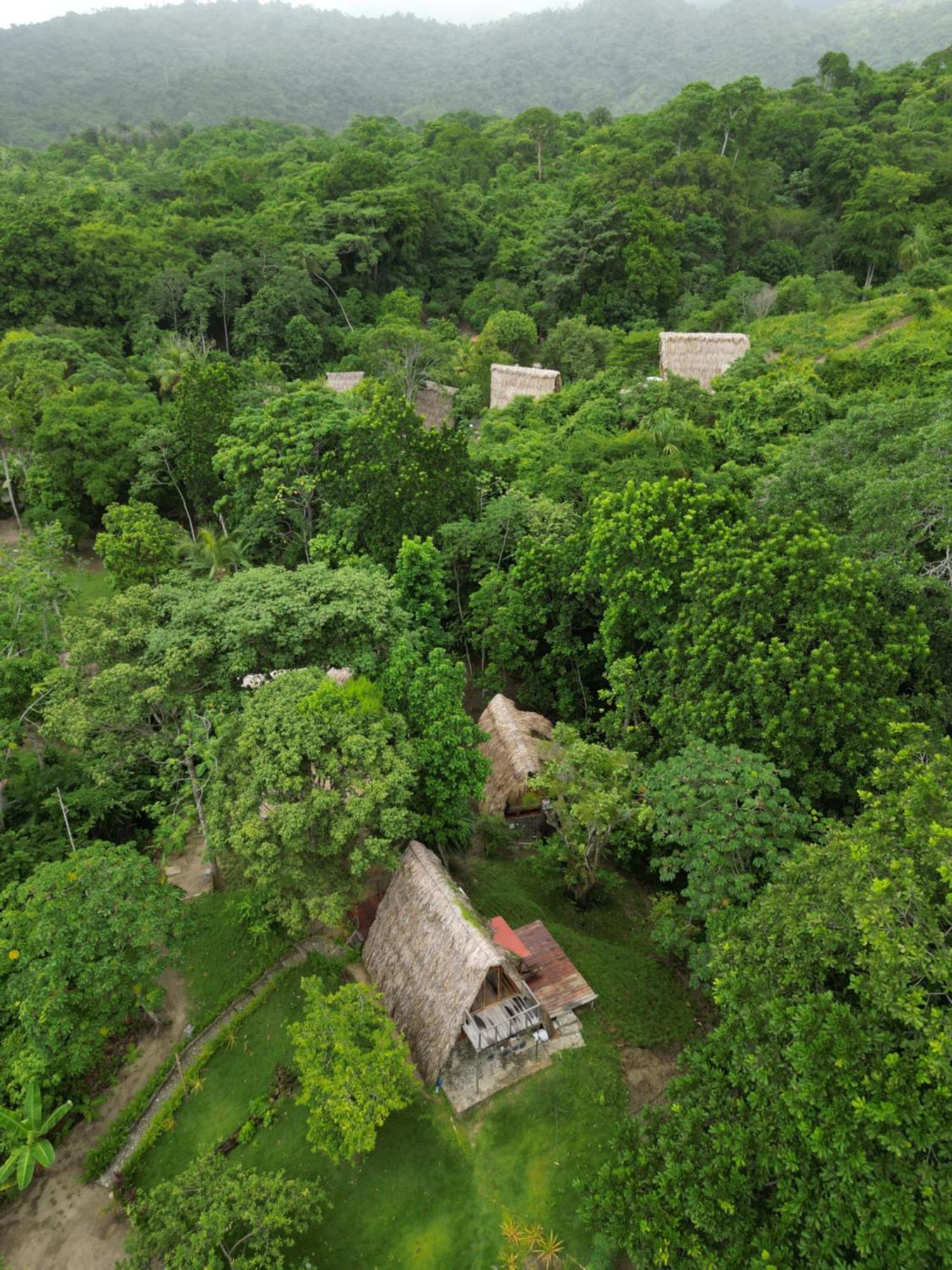 Tiny Houses Unique Tayrona - Dentro Del Parque Tayrona Эль-Саино Экстерьер фото