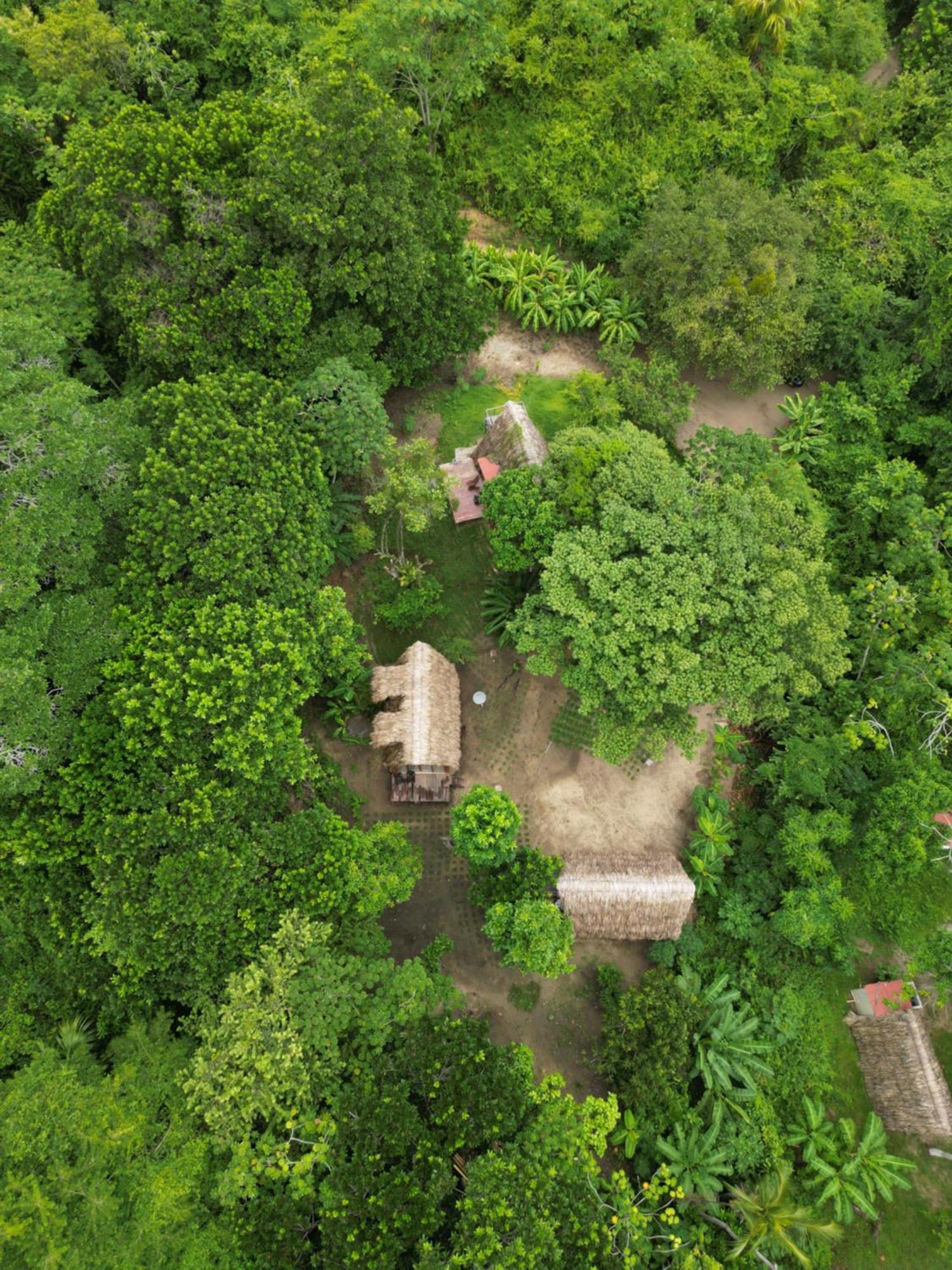 Tiny Houses Unique Tayrona - Dentro Del Parque Tayrona Эль-Саино Экстерьер фото