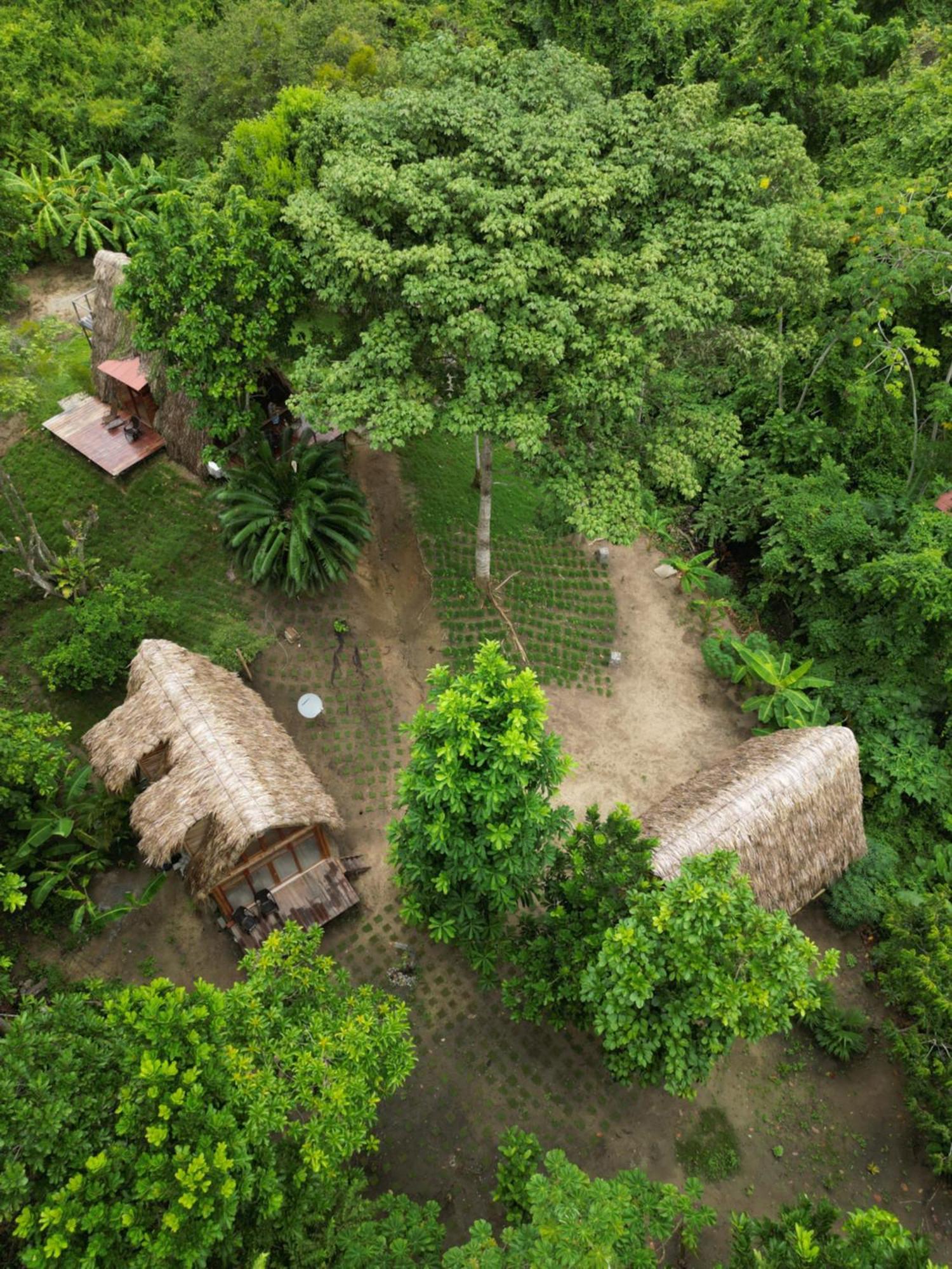 Tiny Houses Unique Tayrona - Dentro Del Parque Tayrona Эль-Саино Экстерьер фото