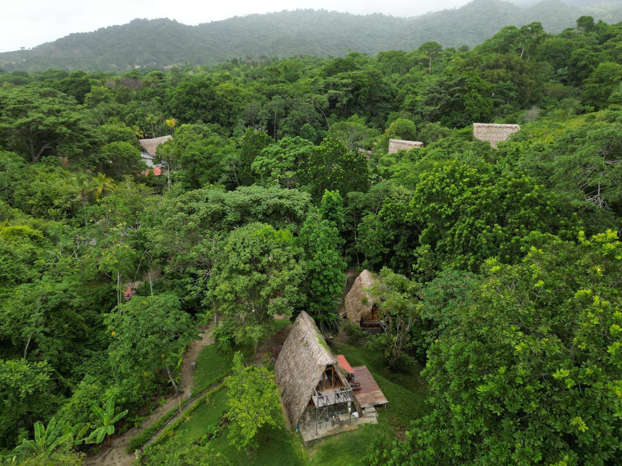 Tiny Houses Unique Tayrona - Dentro Del Parque Tayrona Эль-Саино Экстерьер фото