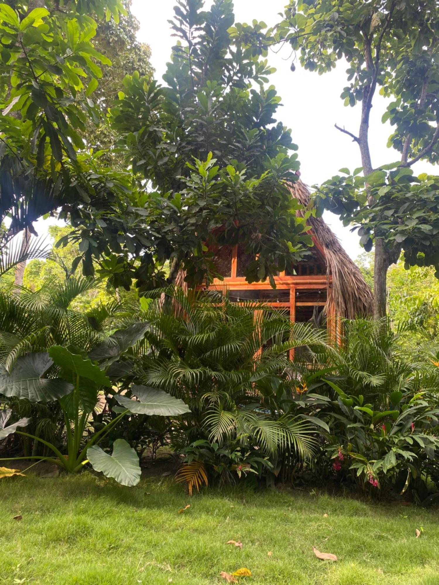 Tiny Houses Unique Tayrona - Dentro Del Parque Tayrona Эль-Саино Экстерьер фото